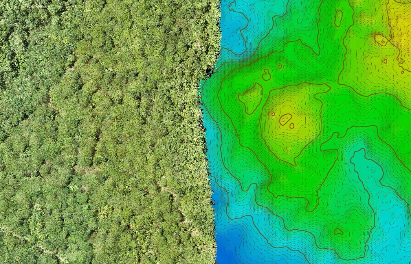 Nube de puntos y modelo digital de terreno con curvas de nivel